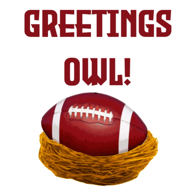 Greetings Owl!by dflynndesigns.png