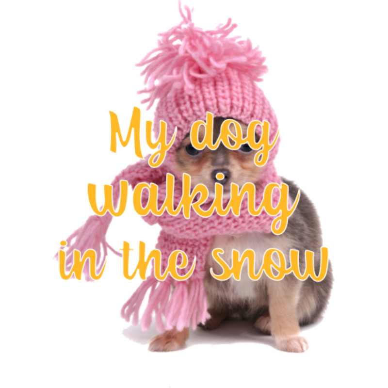 My dog walking in the snowby ZENAMAY.png