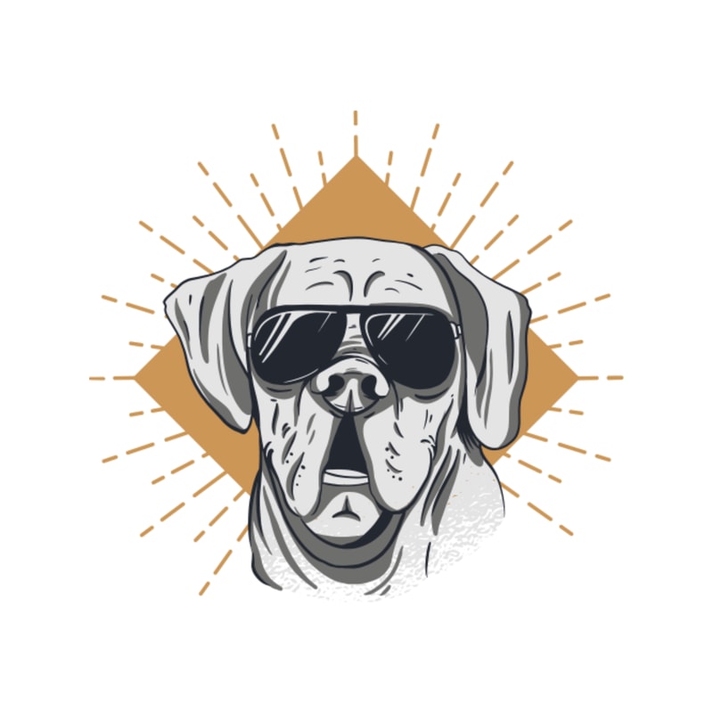 sunglasses dogby D.O.A.png