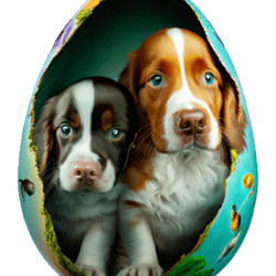 dog in the egg (6)