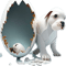 dog in the egg dog in the egg dog in the egg (2).png