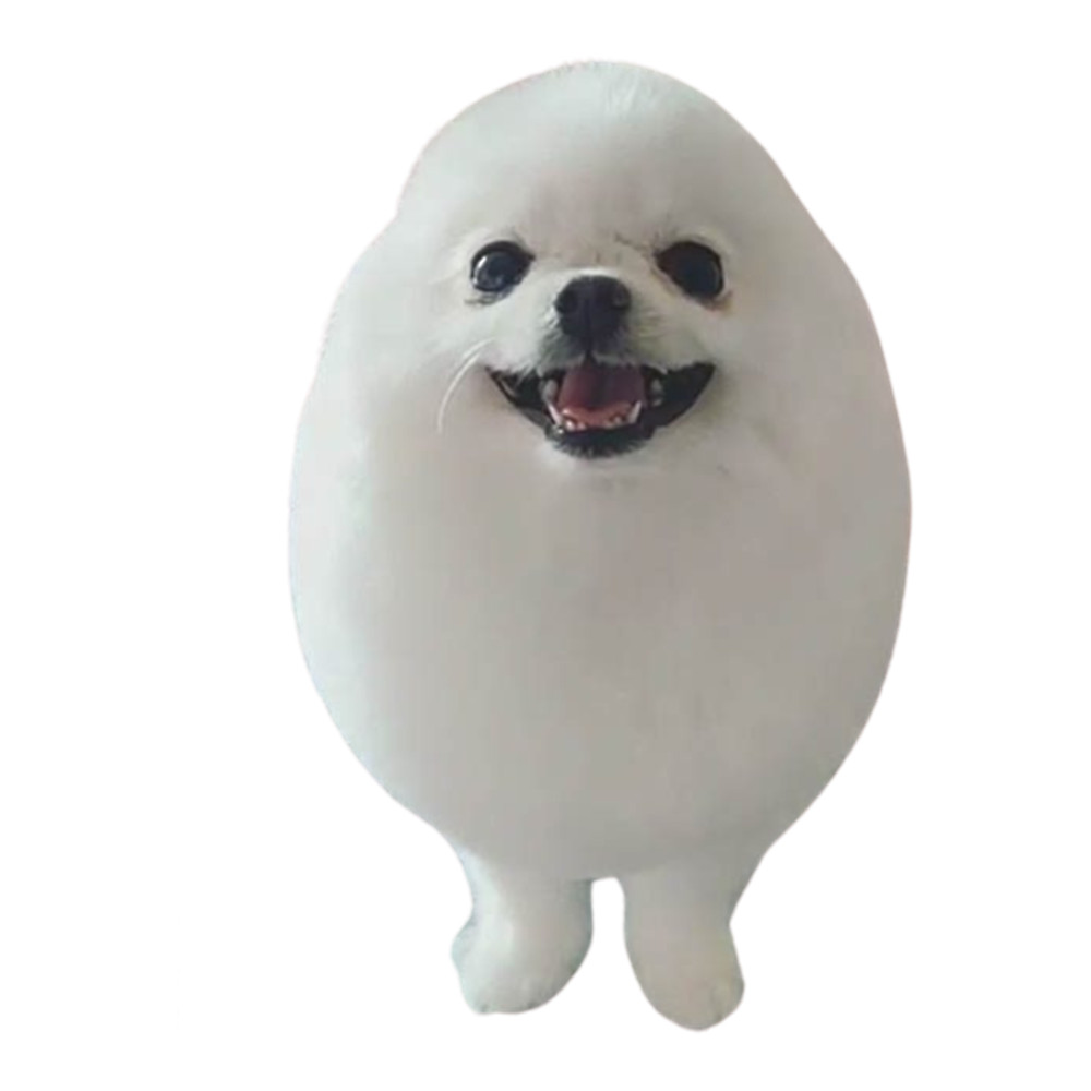 Dog in the egg dog in the egg dog in the egg dog in the egg .png