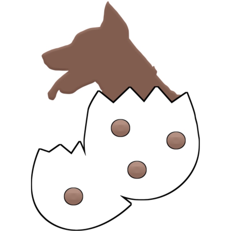 Dog in the Egg Funny Dog Doberman Hatchingby Salaar Design Hub.png