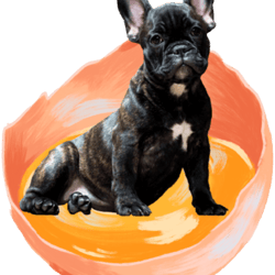 dog in the egg dog in the egg dog in the egg