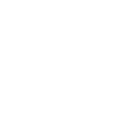 dog walk in the snowby holly ship