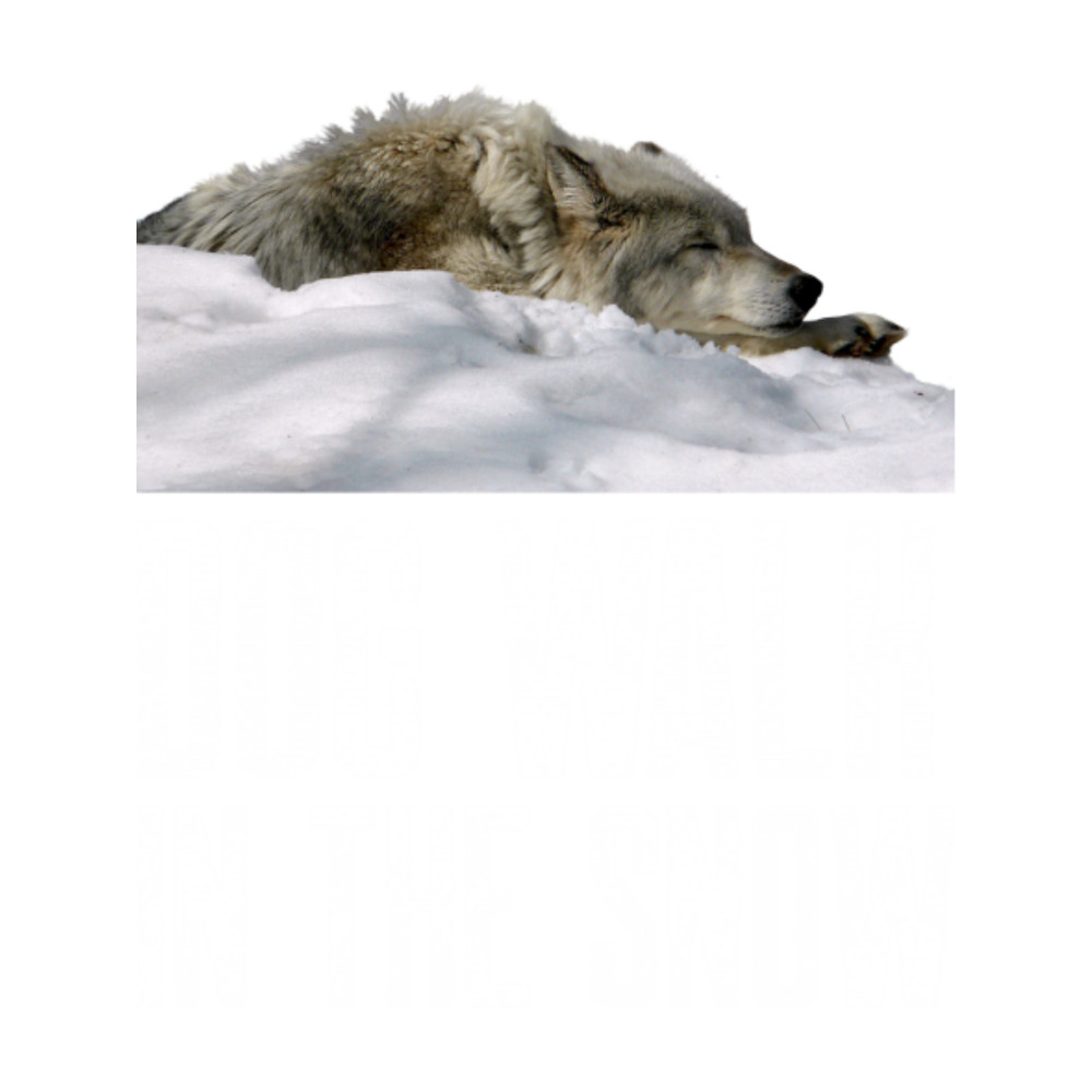 dog walk in the snowby ZENAMAY3.png