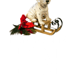 dog walk in the snowby zenamay4