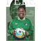 rip pele legend brazil .png