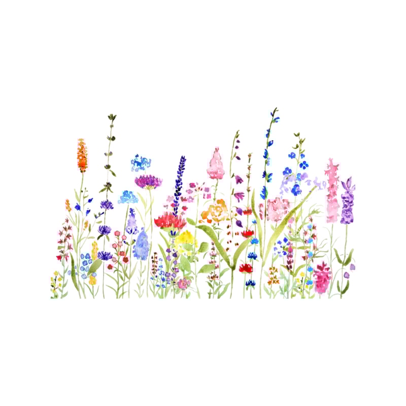 colorful wild flower field .png