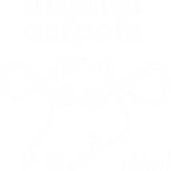 commercial reign inspiral carpets happy mondays the stone roses echobelly band