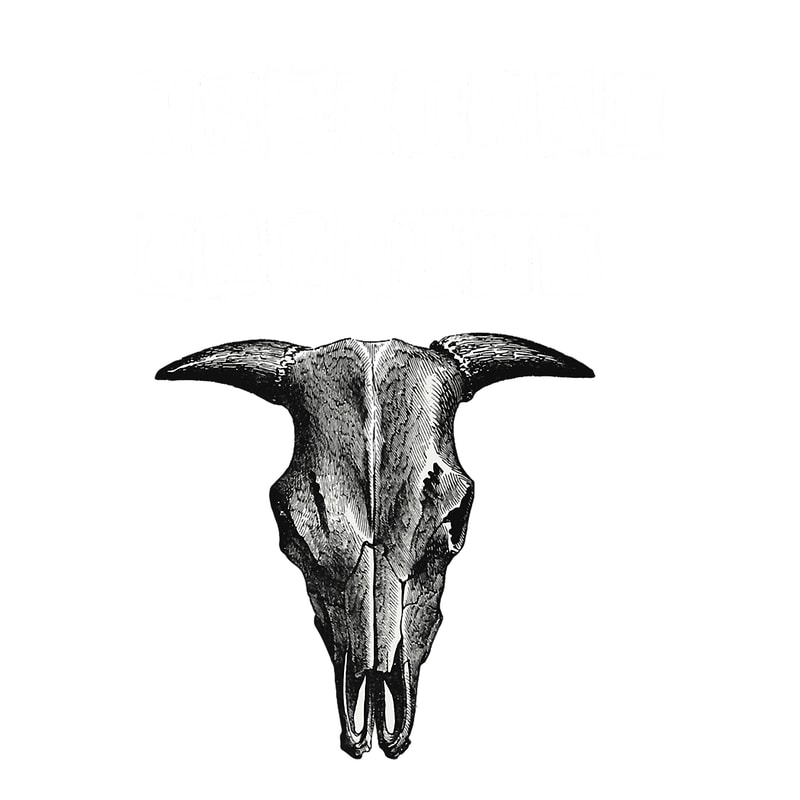 Inspiral Carpets Essential (4).png