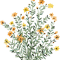 yellow floral sun flower  .png