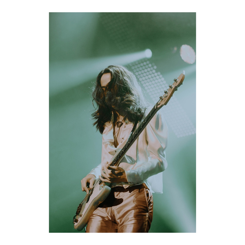 Greta Van Fleet Canvas Print.png
