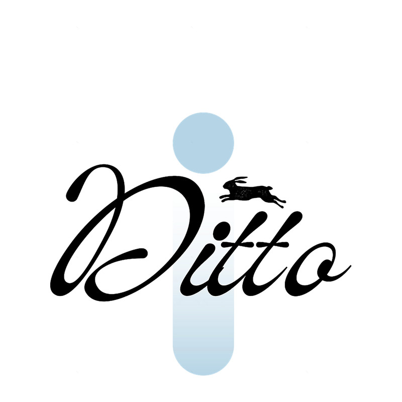 NEW JEANS - Ditto (track name ver.1) .png