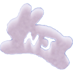 new jeans kpop bunny symbol