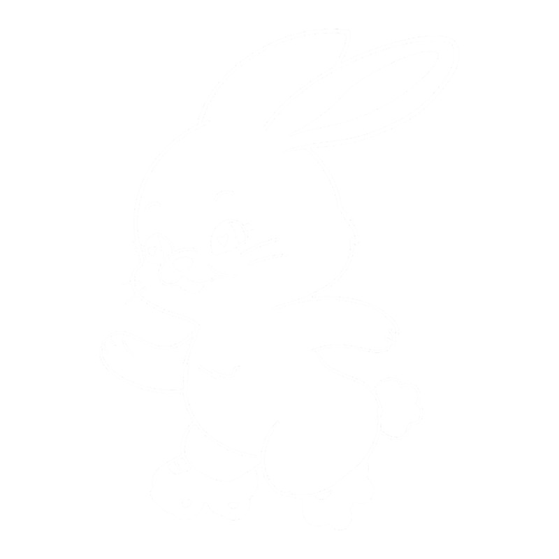 new jeans white bunny design .png