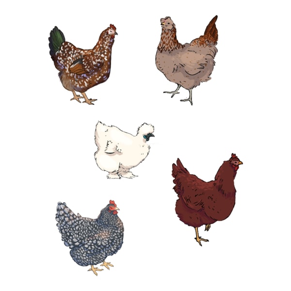 Chicken Sticker Set | Inspire Uplift