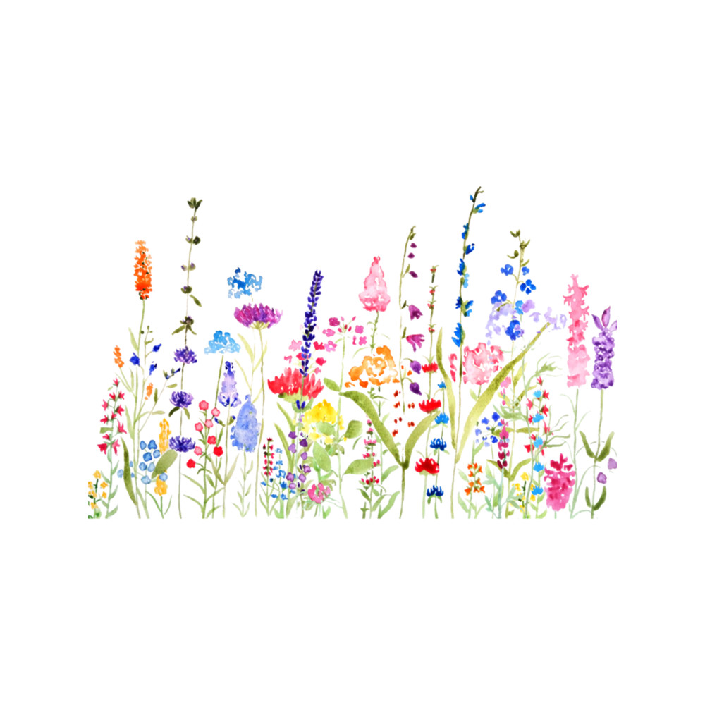 colorful wild flower field   .png