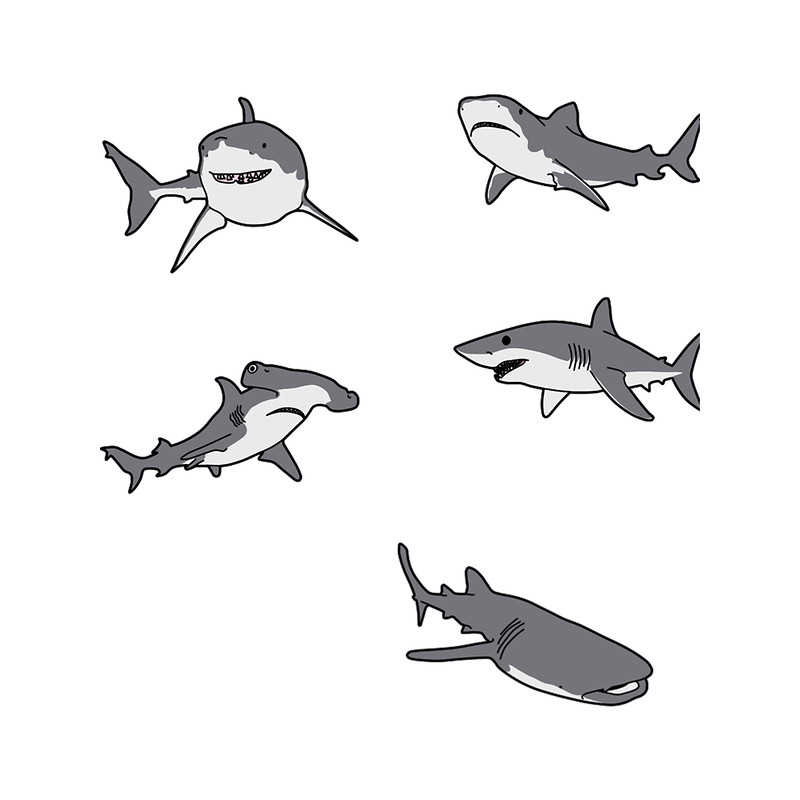shark pack .png