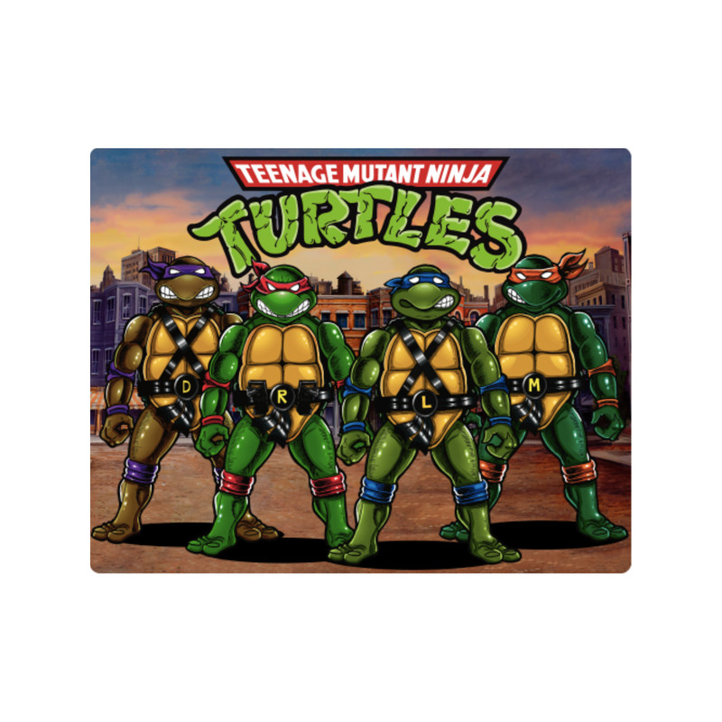 TMNT Turtles105.png