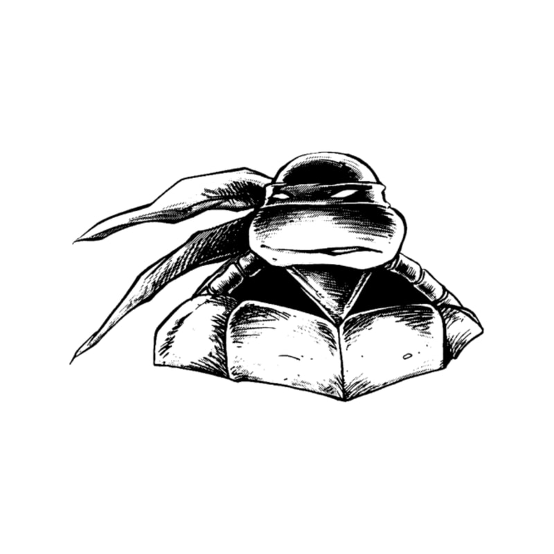 Turtle en Regalia102.png