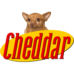 cheddar show