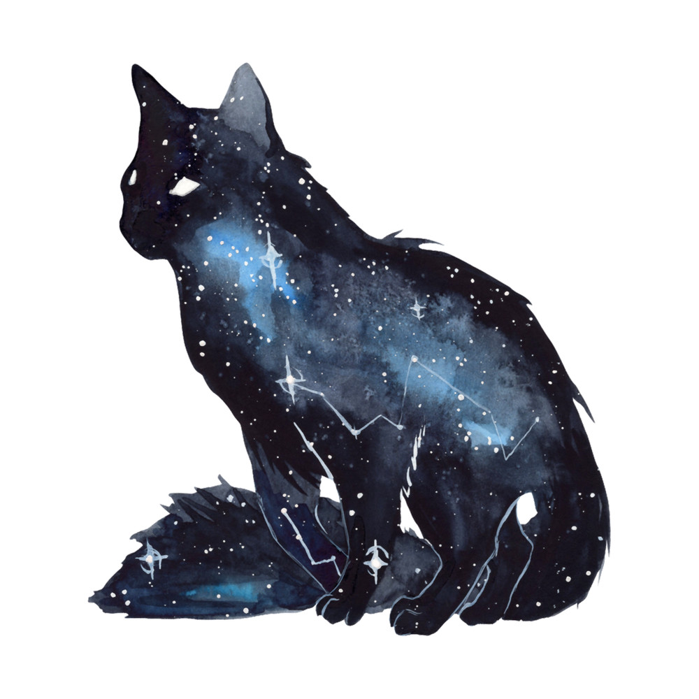 Galaxy Cat .png