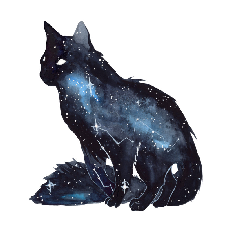 Galaxy Cat .png