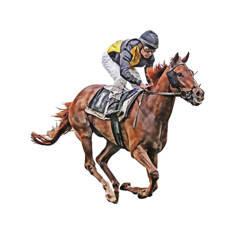 Horse Racing .png