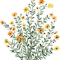 yellow floral sun flower