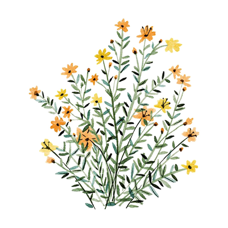 yellow floral sun flower .png