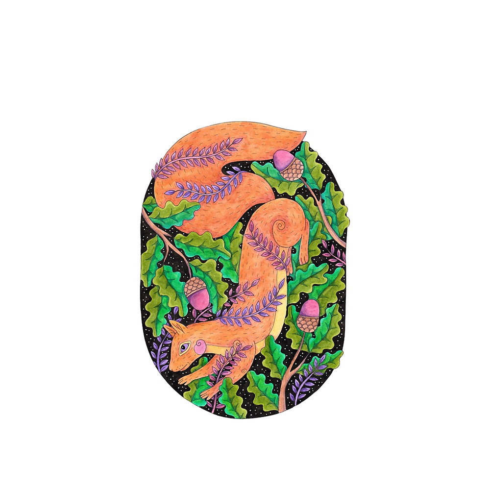 Squirrel Graphic .png