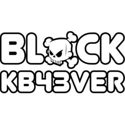 block kb43ver ken block176