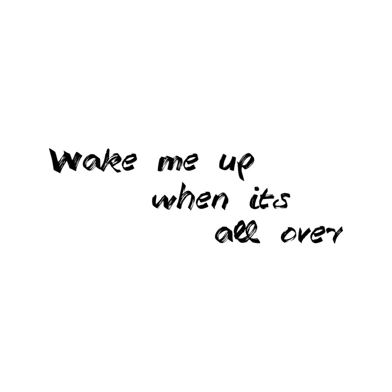 Avicii lyrics .png