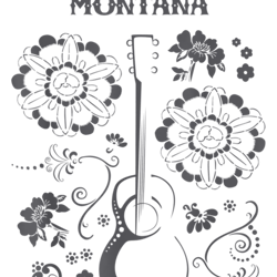 disney channel hannah montana floral guitar