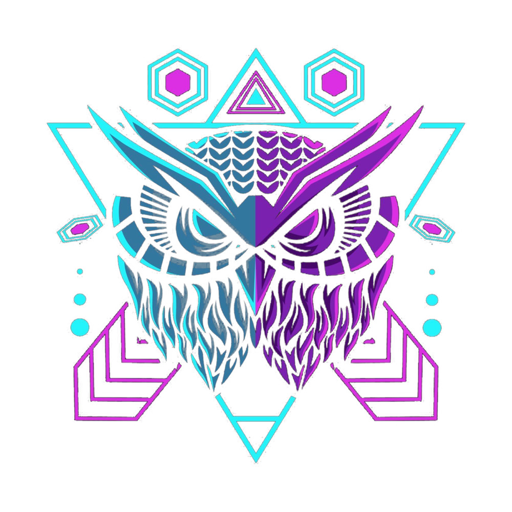 Colorful Owl Illustration .png