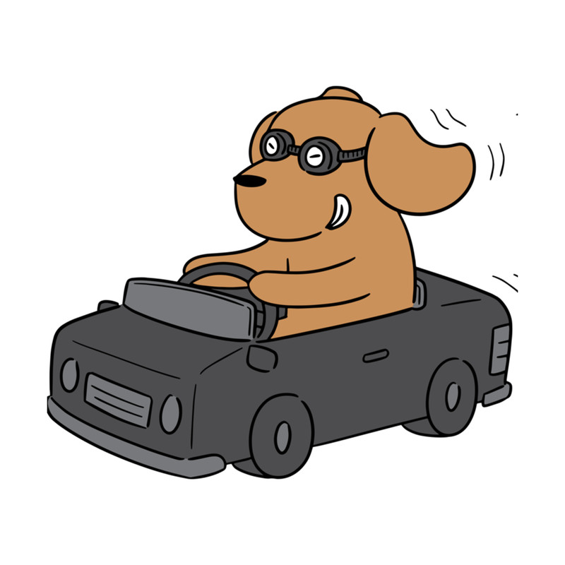 Dog Driving A Car .png