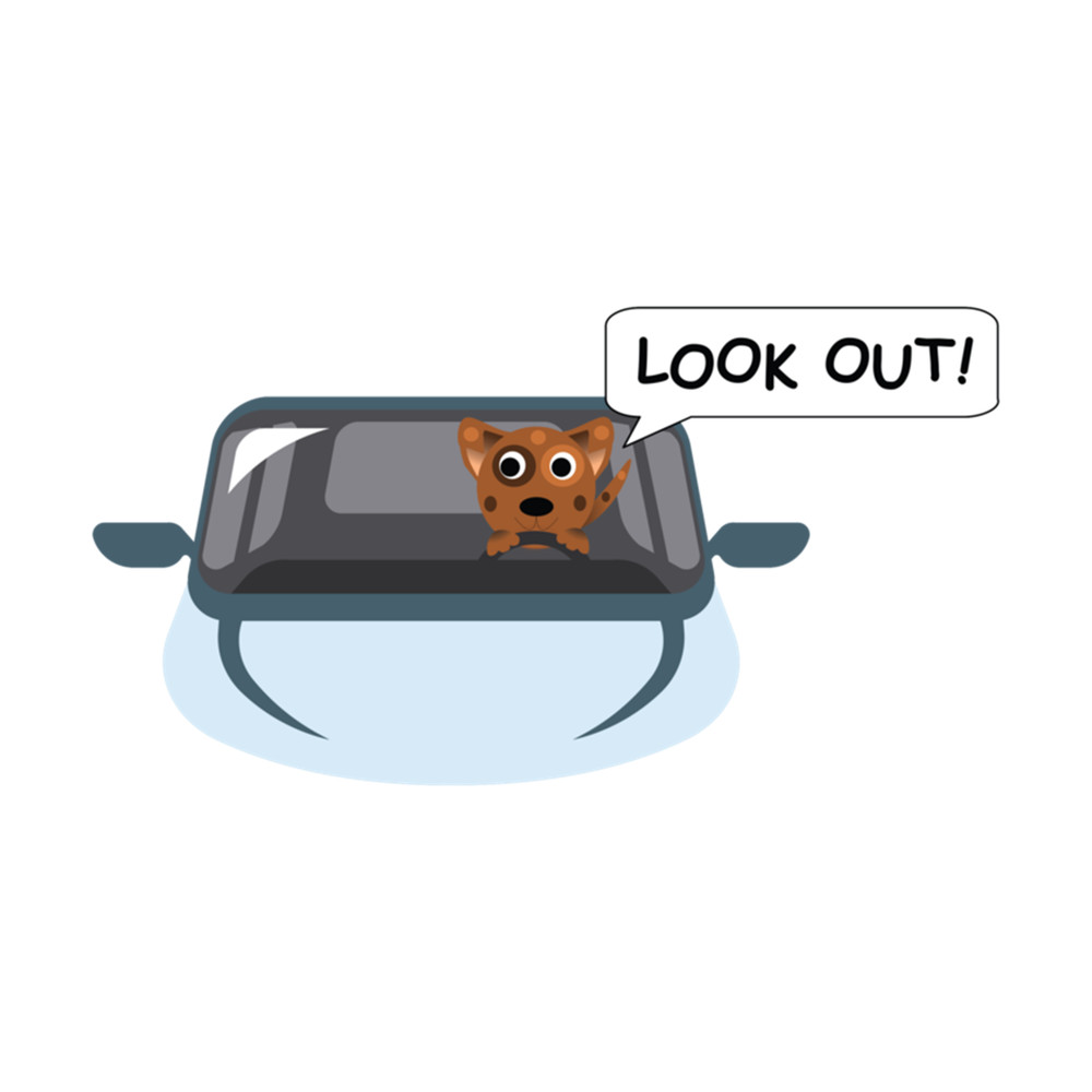 Dog Driving a Car .png