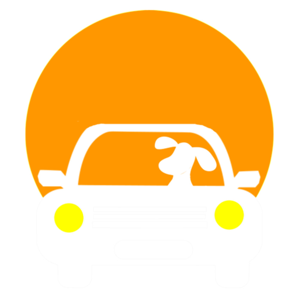 Dog Driving A Car Classic .png