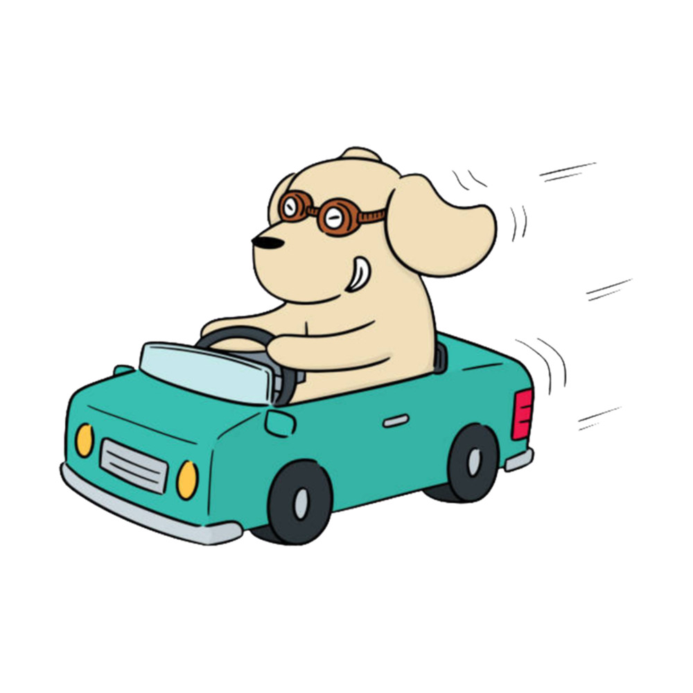 Dog Driving A Car Essential .png