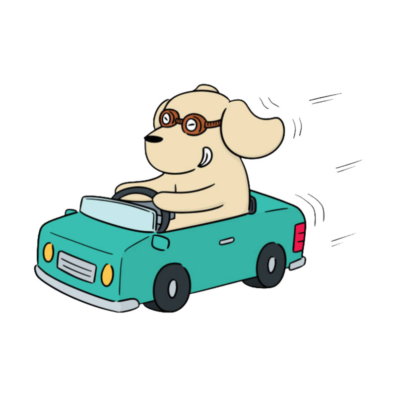 Dog Driving A Car Essential .png