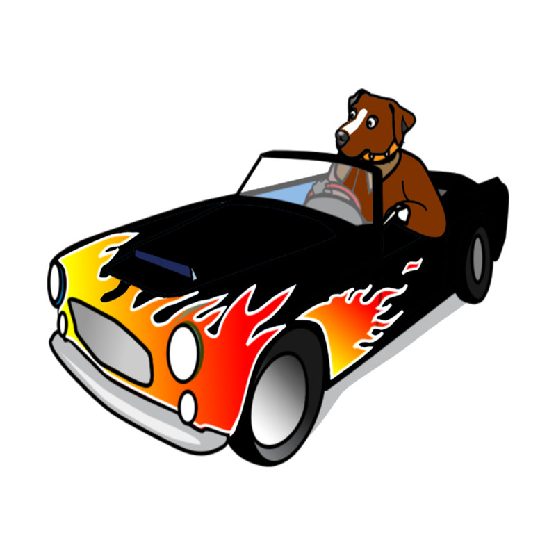 dog driving a car funny  .png
