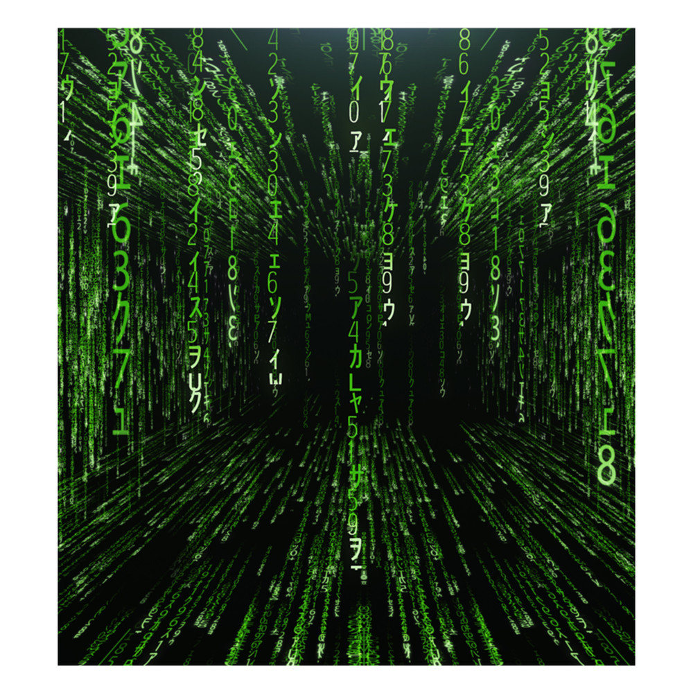 Enter the Matrix .png