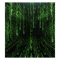 Enter the Matrix .png