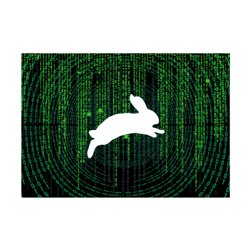 White Rabbit The Matrix .png