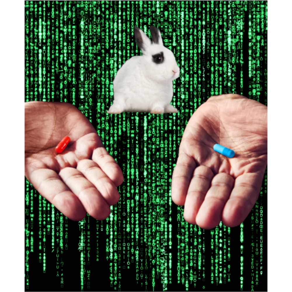White Rabbit decides between blue pill red pill 2  .png