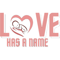 love has a name throw pillows active