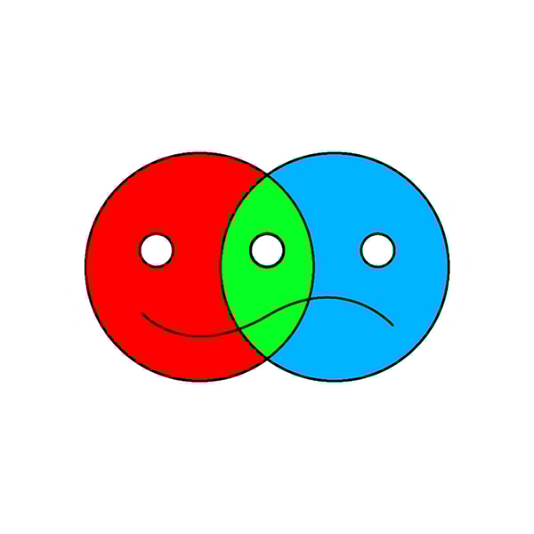 Happy Face Sad Face.png