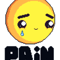 PAIN62.png