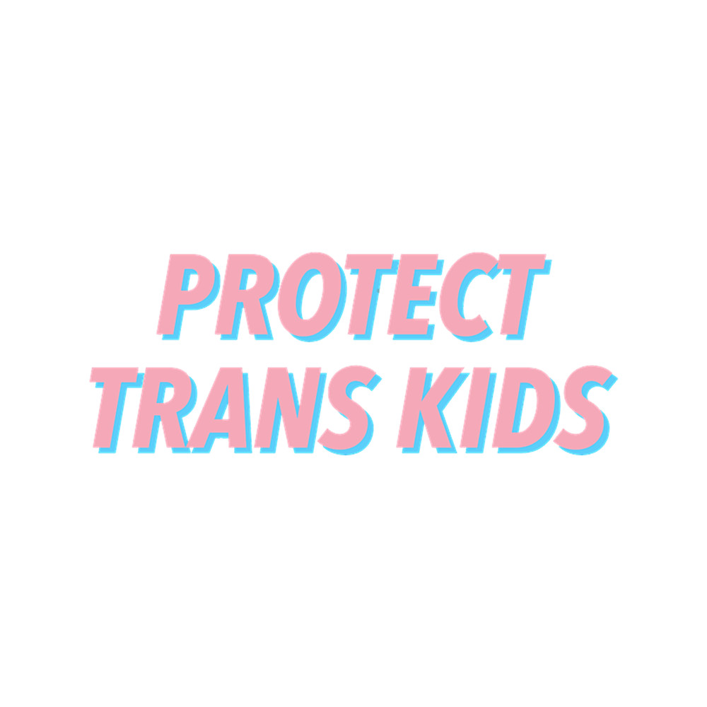 PROTECT TRANS KIDS.png